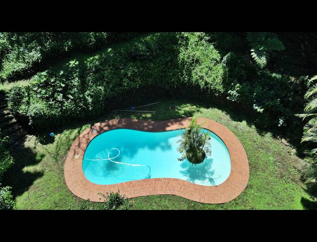 4 BEDROOM FREEHOLD SOLD IN FOREST HILLS